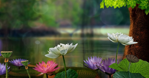 849554 (a): :3686x1936